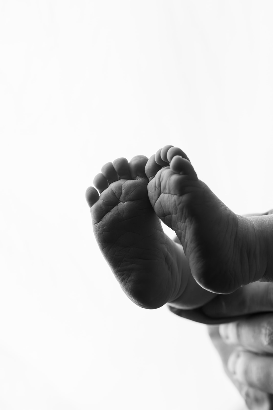 pieds nouveau-né
